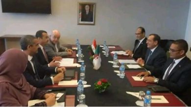 الوزيران المصري والجزائري ومرافقوهما خلال المباحثات المشتركة