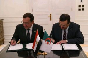 الوزيران المصري والجزائري خلال مراسم التوقيع 